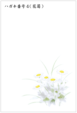 ハガキ番号４（花菊）